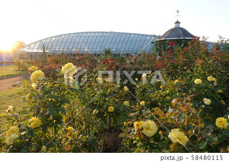 最上川ふるさと総合公園 最上川ふるさと総合公園 58480115