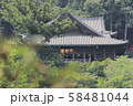 奈良 長谷寺 正堂 奈良 長谷寺 正堂 58481044