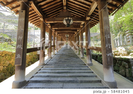奈良 長谷寺 上登廊 奈良 長谷寺 上登廊 58481045