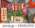 京都 豆吉明神(大将軍八神社境内) 京都 豆吉明神(大将軍八神社境内) 58481050