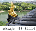 岡山城の金鯱 58481114