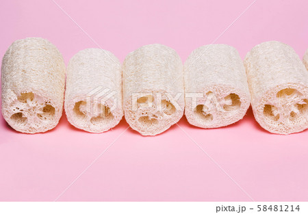 Loofah on a pink background. Organic natural 58481214