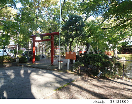 仙台市若林区 卸町神社 仙台市若林区 卸町神社 58481309