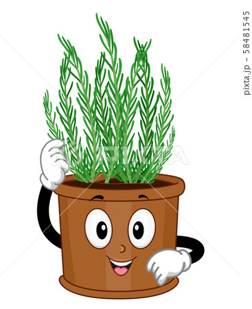 Mascot Rosemary Illustration Mascot Rosemary Illustration 58481545