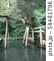 鹿島神宮の御手洗池 58481796
