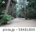 鹿島神宮の参道 58481800
