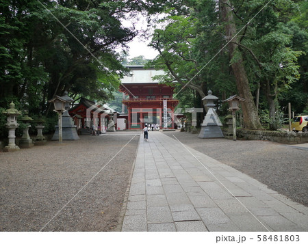 鹿島神宮の参道 鹿島神宮の参道 58481803