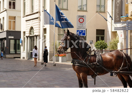 ベルギーの町中を歩く馬 ベルギーの町中を歩く馬 58482622