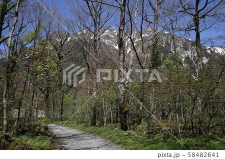 奥上高地 58482641