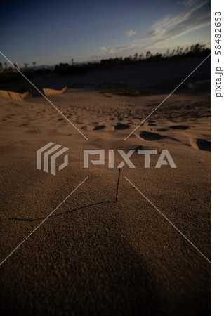 砂漠 砂漠 58482653