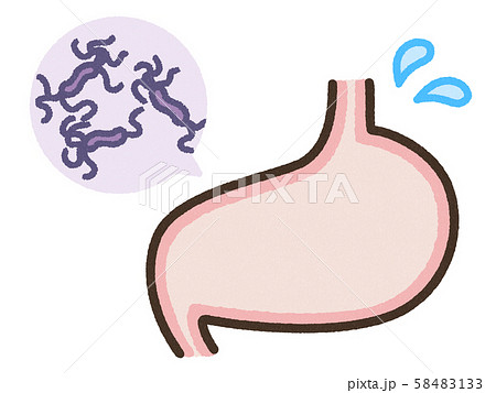 ピロリ菌 胃のイラスト素材