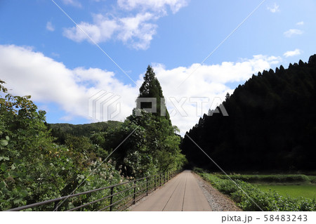 永平寺参ろーど(福井県 吉田郡 永平寺町) 永平寺参ろーど(福井県 吉田郡 永平寺町) 58483243
