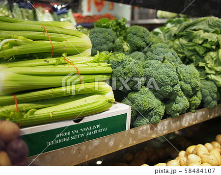 セロリ&ブロッコリー セロリ&ブロッコリー 58484107