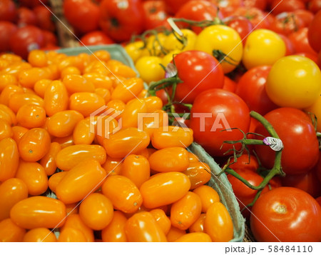 ミニトマト ミニトマト 58484110