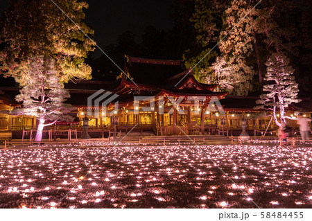 滋賀県　多賀大社　神あかり　祈りの石ころあかり 58484455