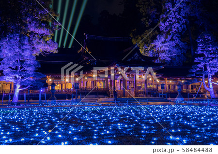 滋賀県　多賀大社　神あかり　祈りの石ころあかり 58484488