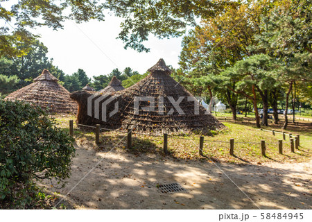 先史時代 穴蔵 櫛目文土器 58484945