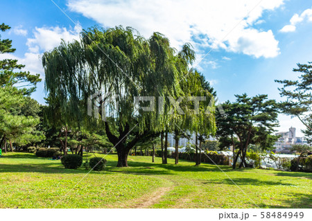 先史時代 穴蔵 櫛目文土器 58484949