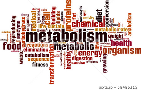 Metabolism word cloud Metabolism word cloud 58486315