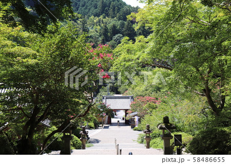 高野山真言宗遺跡本山 檜尾山・観心寺 58486655