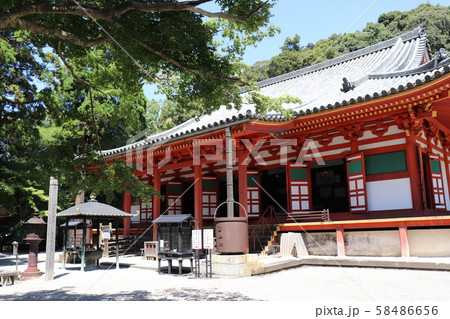 高野山真言宗遺跡本山 檜尾山・観心寺 高野山真言宗遺跡本山 檜尾山・観心寺 58486656