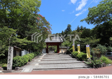 高野山真言宗遺跡本山 檜尾山・観心寺 高野山真言宗遺跡本山 檜尾山・観心寺 58486701
