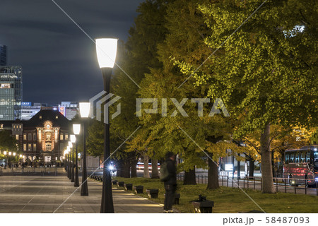 【紅葉　いちょう  東京駅】 58487093