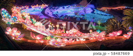 静岡県・伊豆ぐらんぱる公園 グランイルミ 58487669