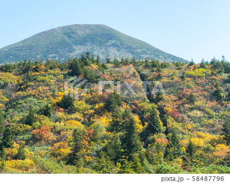 八甲田山 紅葉 秋 八甲田山 紅葉 秋 58487796