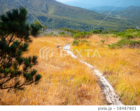 八甲田山 紅葉 秋 八甲田山 紅葉 秋 58487801