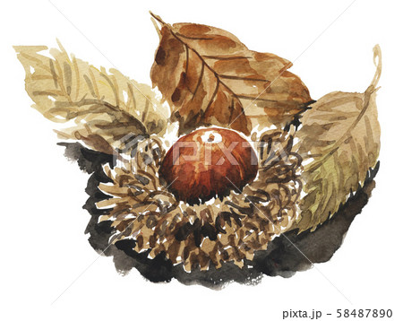 acorn191012pix7 58487890