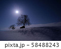月明かりの光景 58488243