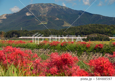 東海道新幹線秋の風景 58488597
