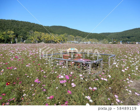 大曲湖畔園地 大曲湖畔園地 58489119