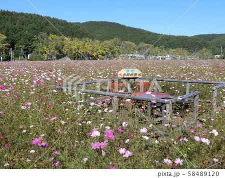 大曲湖畔園地 58489120