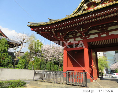 東京の風景(増上寺) 東京の風景(増上寺) 58490761
