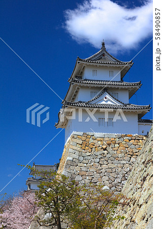 明石城跡の春景色「日本さくら名所100選」「日本100名城」「国指定史跡」 58490857