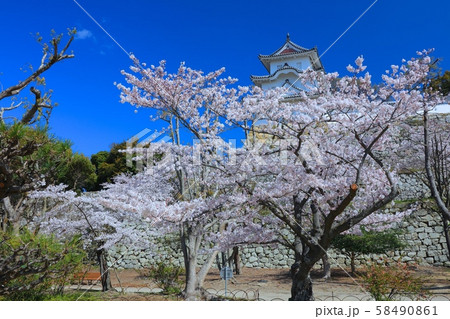 明石城跡の春景色「日本さくら名所100選」「日本100名城」「国指定史跡」 明石城跡の春景色「日本さくら名所100選」「日本100名城」「国指定史跡」 58490861