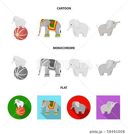 Vector illustration of elephant and asian sign. Set of elephant and elephant stock vector Vector illustration of elephant and asian sign. Set of elephant and elephant stock vector 58491008