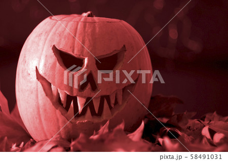 Scary Jack O Lantern halloween pumpkin on dry 58491031