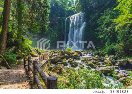 桜滝 桜滝 58491323