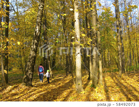 Autumn walk in the forest with a child, golden leaves Autumn walk in the forest with a child, golden leaves 58492073