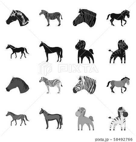 Vector illustration of trot and running symbol. Collection of trot and clipart vector icon for stock Vector illustration of trot and running symbol. Collection of trot and clipart vector icon for stock 58492766