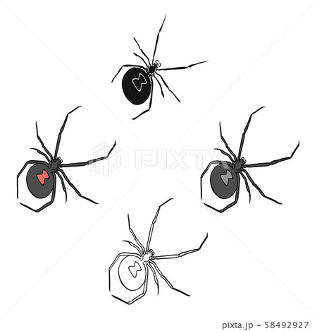 An arthropod bug is an insect.A spider, a predatory insect single icon in cartoon,black style vector An arthropod bug is an insect.A spider, a predatory insect single icon in cartoon,black style vector 58492927