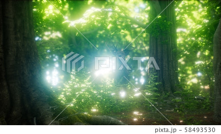 Great Red Deer in a Green Forest 58493530