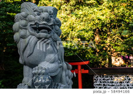 来宮神社の狛犬 来宮神社の狛犬 58494166