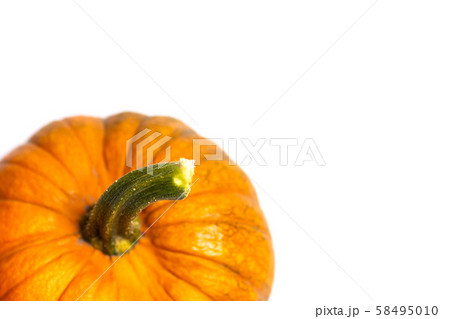 Small pumpkins on white background isolated Small pumpkins on white background isolated 58495010
