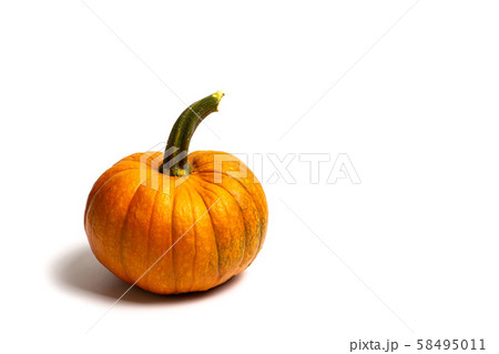 Small pumpkins on white background isolated 58495011