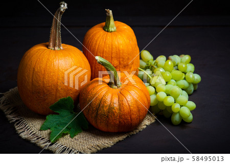 Punkins on a rustic background, Thanksgiving Punkins on a rustic background, Thanksgiving 58495013