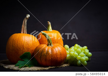 Punkins on a rustic background, Thanksgiving Punkins on a rustic background, Thanksgiving 58495014